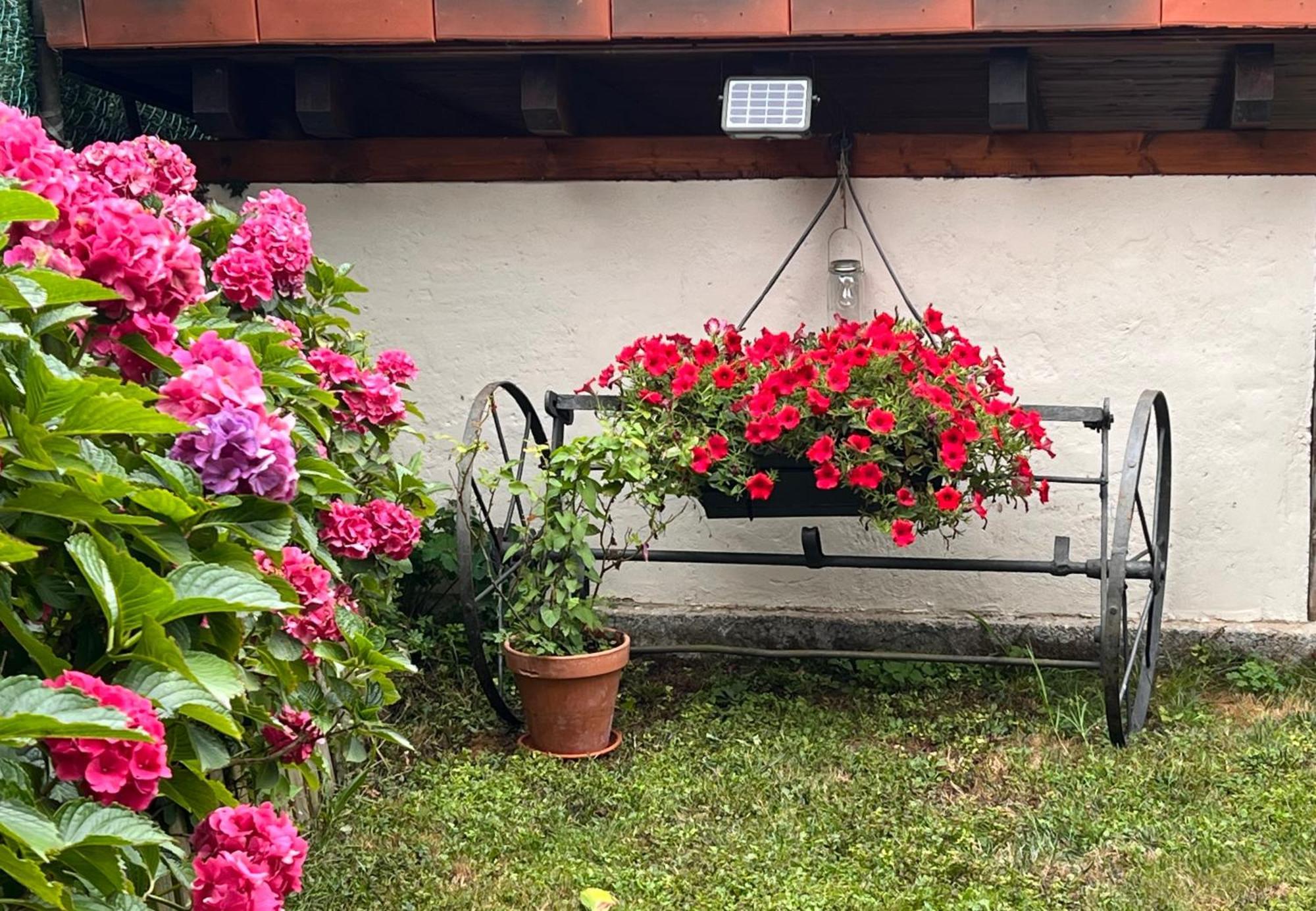 Casa Rural Casa Cerezal Onís Екстериор снимка