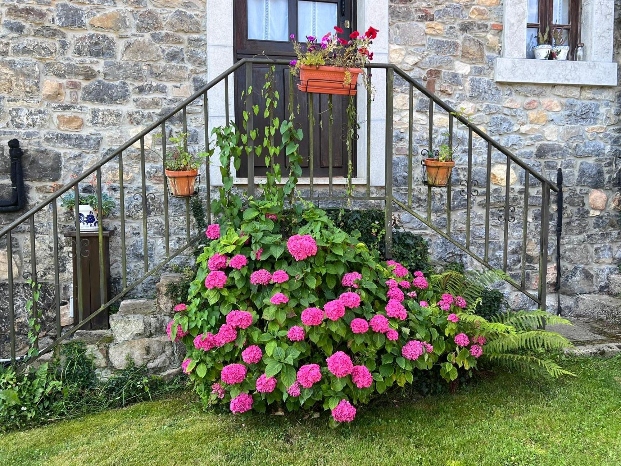 Casa Rural Casa Cerezal Onís Екстериор снимка